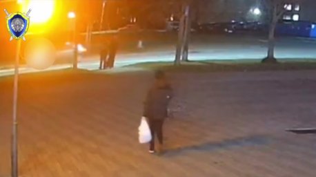 В Лиде под колесами автомобиля погибла пешеход, возбуждено уголовное дело