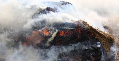 В Рогачевском районе при пожаре повреждены две тонны соломы и тонна картофеля