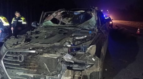 В Смолевичском районе при столкновении авто с лосем погиб пассажир