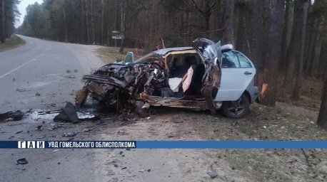 Под Гомелем водитель на легковушке уснул за рулем и врезался в дерево
