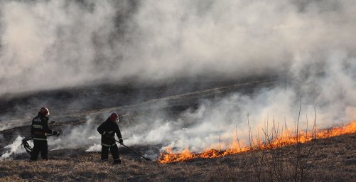 Более 20 раз за сутки спасатели Гродненской области выезжали на тушение загораний сухой растительности