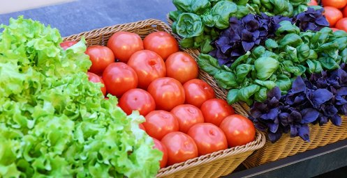 Постоянный контроль. Как обеспечивается безопасность пищевых продуктов в Минске