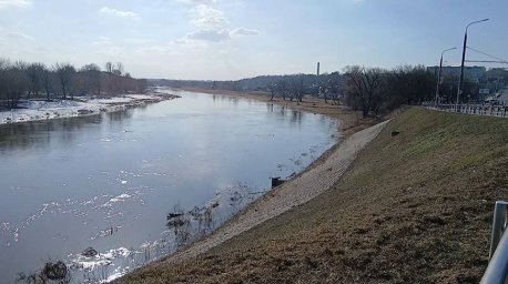 В Могилеве очевидец спас упавшую с моста в реку девушку
