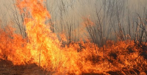 Мужчина получил ожоги при сжигании сухой травы на подворье в Ветковском районе