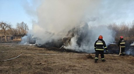 В Быхове на частном подворье сгорело 27 тонн сена В Быхове на частном подворье сгорело 27 тонн сена