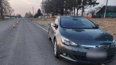 Легковушка сбила велосипедистку в Городокском районе Легковушка сбила велосипедистку в Городокском районе