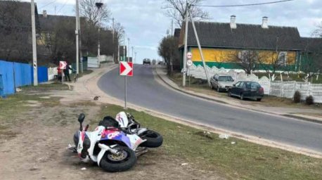 В Минской области за выходные произошло два ДТП с участием животных