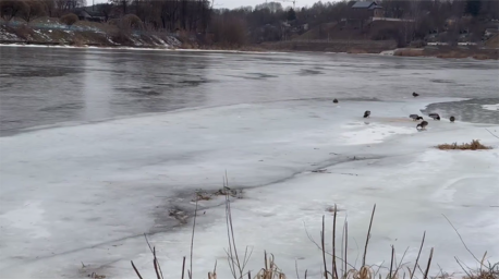 Двое подростков в Гродно провалились под лед во время фотосессии на Немане Двое подростков в Гродно провалились под лед во время фотосессии на Немане