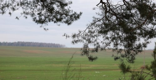 Похолодает ли в Беларуси в начале недели, сообщили в Белгидромете