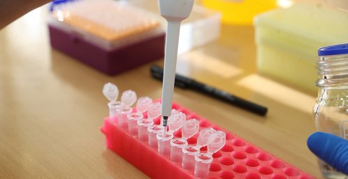 В США создали производящую лекарства при имплантации в организм "живую аптечку"