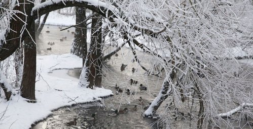Снег и до -6°С ожидается в Беларуси 9 января
