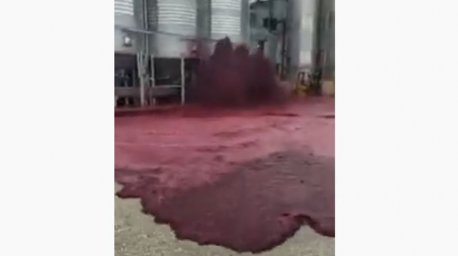 В Испании завод затопило красным вином