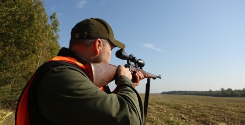 В Беларуси открылся сезон загонной охоты на копытных
