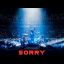 Alan Walker & ISÁK - Sorry (Official Music Video)