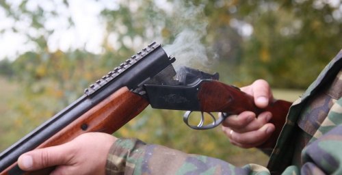 Подстреливших в Ляховичском районе косулю браконьеров приговорили к двум годам лишения свободы