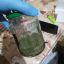 Житель Бобруйска хранил в сарае 700 г марихуаны 0