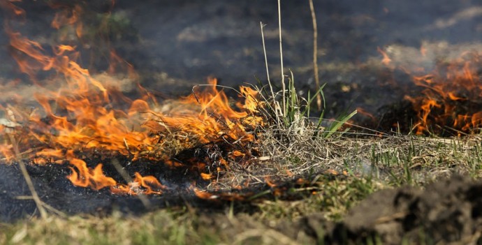 Пенсионерка погибла на пожаре в Наровлянском районе