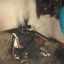 Двое детей пострадали при пожаре в Светлогорске 0