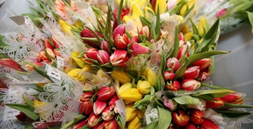 Минская цветочная фирма "сэкономила" на налогах более Br900 тыс.
