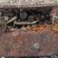 Коробку с 440 патронами нашли при расчистке мелиоративного канала в Мостах