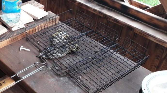 Житель Брестского района обгорел, разжигая барбекю