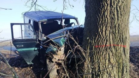 В Березовском районе УАЗ врезался в дерево: три человека госпитализированы