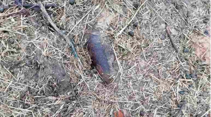 В Буда-Кошелевском районе сельчанин при уборке мусора нашел снаряд