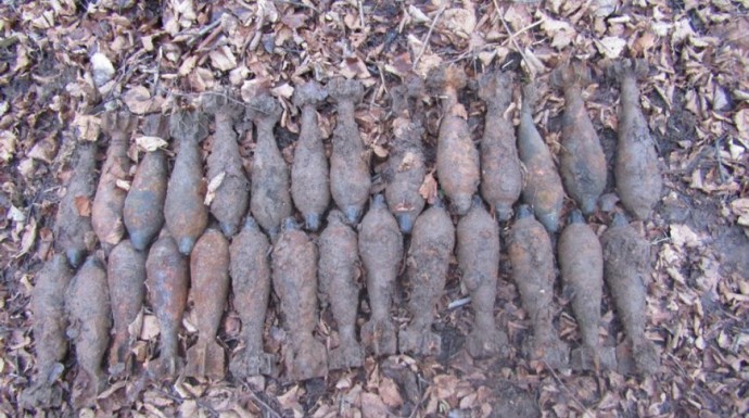 В Витебском районе саперы обезвредили около 30 боеприпасов времен ВОВ