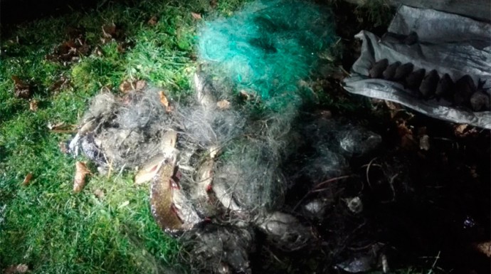 Полсотни сетей изъяли у браконьеров в Городокском районе