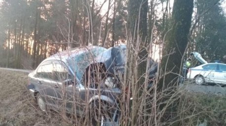 В Жабинковском районе легковушка вылетела в кювет и врезалась в дерево, водитель в больнице
