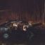 Лобовое столкновение авто в Борисовском районе: один человек погиб, четверо пострадали 0