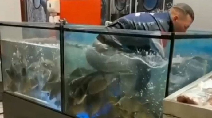 Парня оштрафовали за купание в аквариуме гомельского магазина