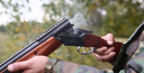 В Рогачевском и Кормянском районах егерей уличили в незаконной охоте