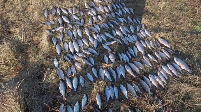 Двое жителей Чериковского района незаконно ловили рыбу