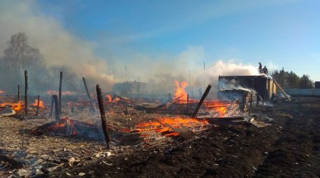 Пять сараев сгорели в Петриковском районе из-за пала травы