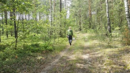 Житель Рогачевского района шесть лет прятался от тюрьмы в лесу