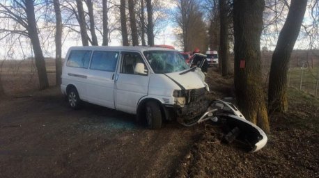 В Витебском районе микроавтобус врезался в дерево