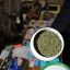 Житель Мостовского района выращивал для племянника марихуану