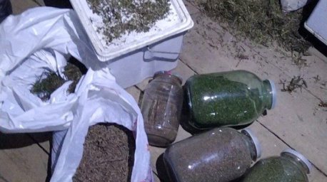 Подозреваемый в сбыте марихуаны задержан в Могилеве