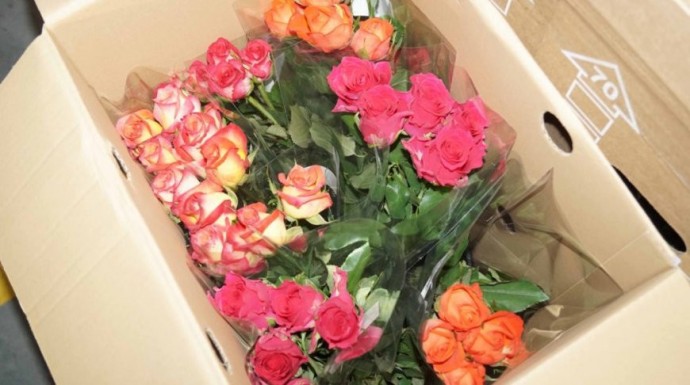 Гродненские таможенники пресекли незаконный ввоз 100 тыс. роз