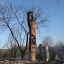 В Щучинском районе более 20 домов сгорело из-за пала сухой травы 7