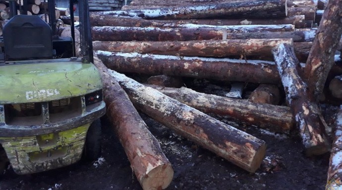 Рабочего завалило бревнами на деревообрабатывающем предприятии в Жабинке