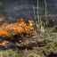 Более 90 пожаров произошло за сутки в экосистемах Беларуси