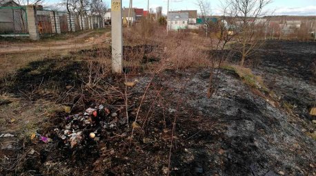 В Могилевском районе пенсионер погиб при сжигании мусора во дворе