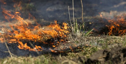 Более 90 пожаров произошло за сутки в экосистемах Беларуси