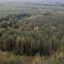 Прокуроры выявили нарушения в разведении и восстановлении леса в Брестской области