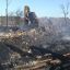 В Щучинском районе более 20 домов сгорело из-за пала сухой травы 11