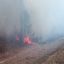 В Мозырском районе при пале травы сгорели пять дач 8