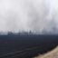 В Мозырском районе при пале травы сгорели пять дач 3
