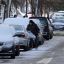 Утренний снег и ветер в Гродненской области: зафиксировано 17 случаев падения деревьев на дороги 1
